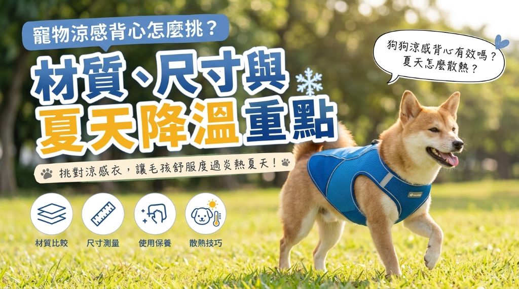寵物涼感降溫背心怎麼挑？夏天狗狗散熱需求、使用方式與選購重點