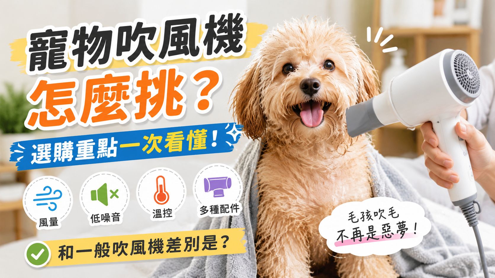 寵物吹風機怎麼挑？一次看懂選購重點、一般吹風機差異與適合族群